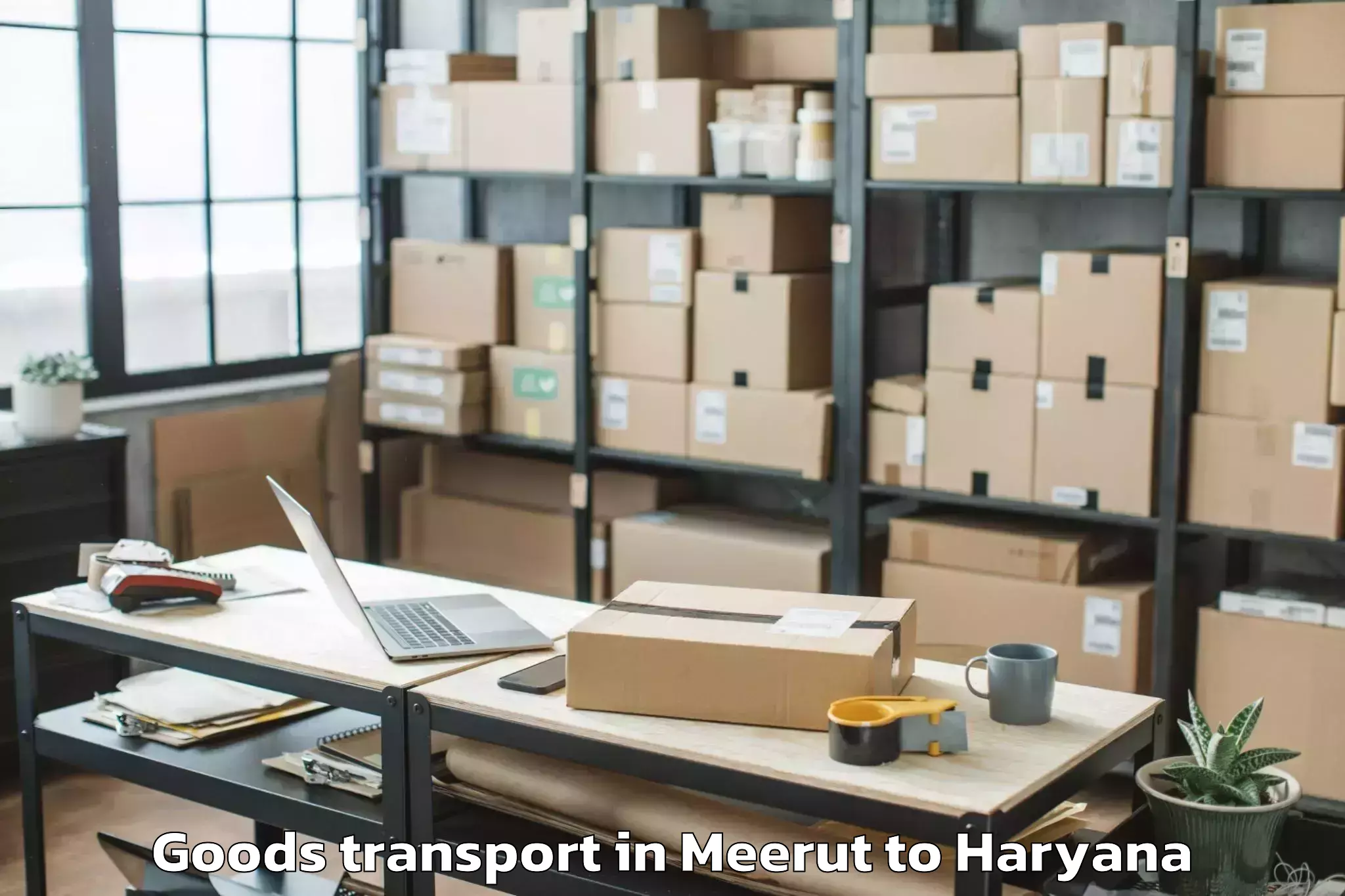 Top Meerut to Srm University Haryana Sonipat Goods Transport Available